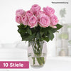 Premium Rose Rosa 10 Stiele