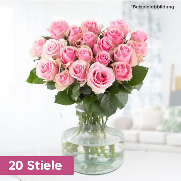 Premium Rose Pink Lady – DasBlumentaxi.de