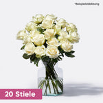 Premium Rose Weiß 20 Stiele