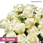 Premium Rose Weiß 20 Stiele